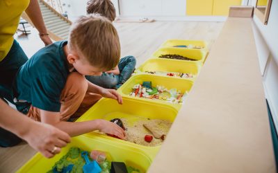 Diagnoza SI w Bydgoszczy – sprawdź, gdzie ją wykonać